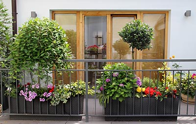 Aménagement du balcon avec des plantes : organisez l'espace